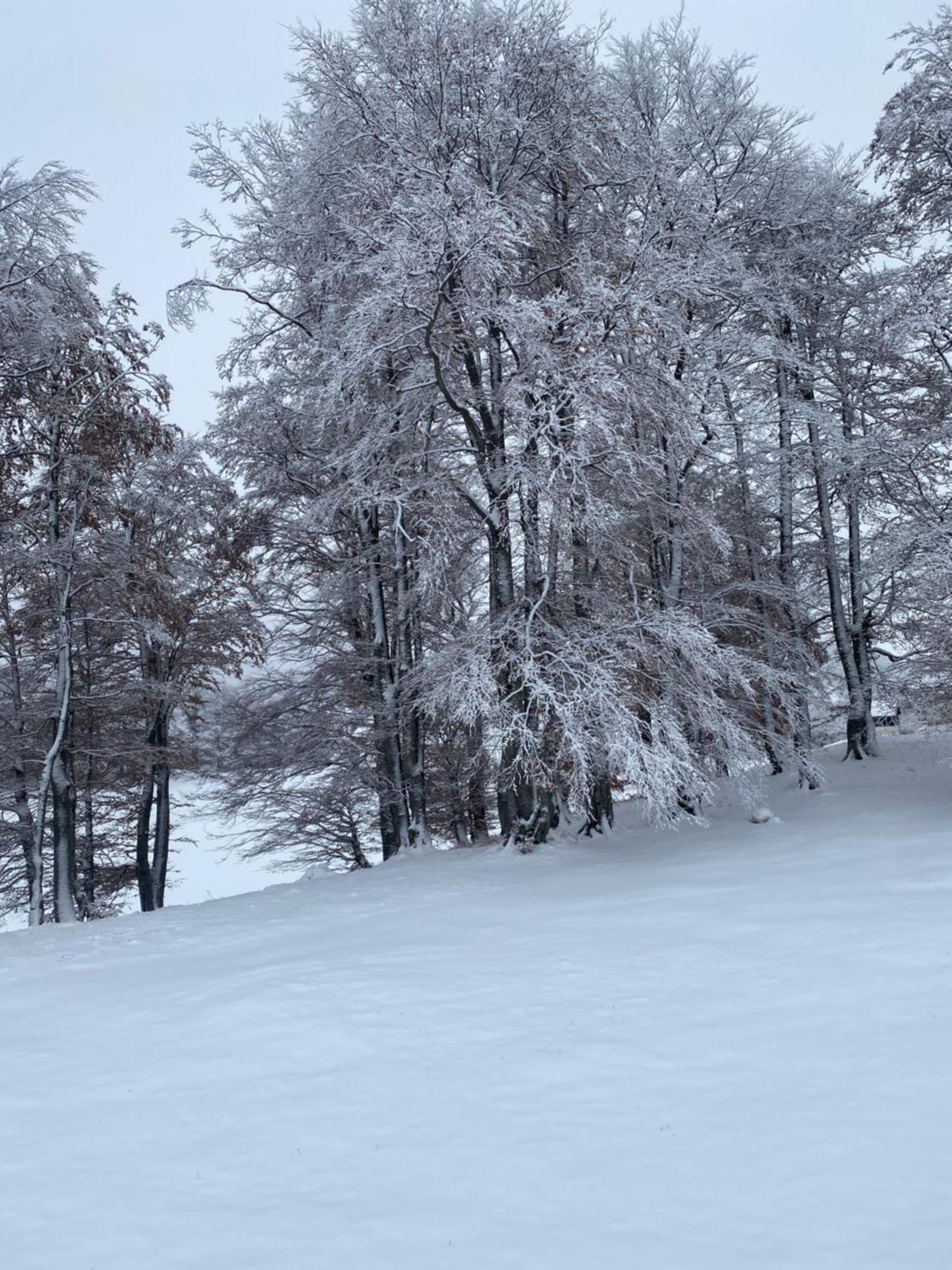 Vikendica Aleksandra Zabljak  Luaran gambar
